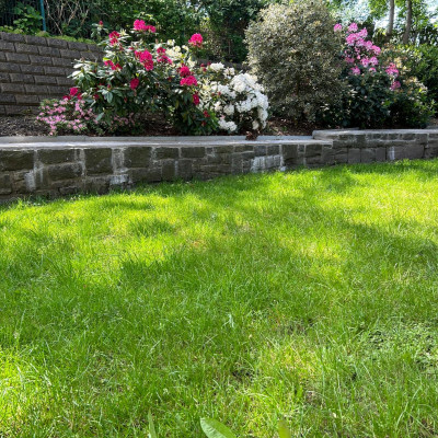 Der Garten